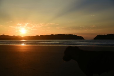 Sunrise with dog